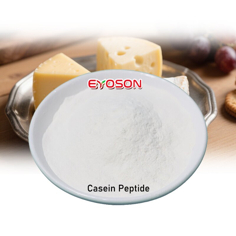 Casein Peptide Powder Manufacturer - Premium Sleep-Support 90% Protein