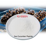 Sea Cucumber Hydrolysate Factory - Wholesale Marine Repair Peptide