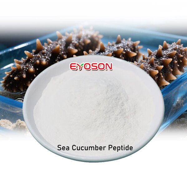 Sea Cucumber Hydrolysate Factory - Wholesale Marine Repair Peptide