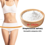 Probiotics Powder Manufacturer - High Potency Streptococcus Salivarius