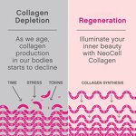 Collagen Supplement Manufacturer - Adult Beauty Tripeptide Powder