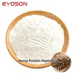 Hemp Seed Peptide Factory - Wholesale Plant Extract Vegan