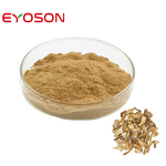 Polygonatum Extract Factory - Factory Supply 100% Natural Organic