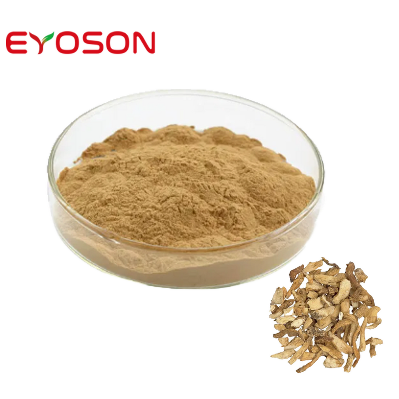 Polygonatum Extract Factory - Factory Supply 100% Natural Organic