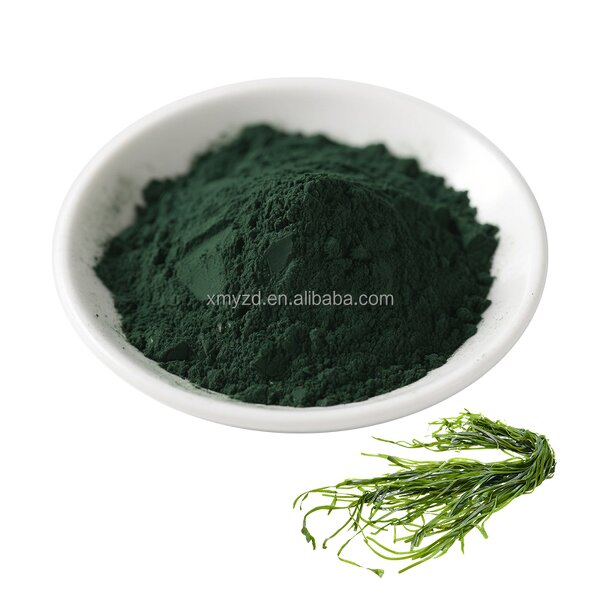Spirulina Extract Manufacturer - Wholesale Organic Nutritional Protein