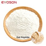 Oat Peptide Powder Manufacturer - Wholesale Food Grade Nano Organic