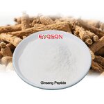 Nano Ginseng Peptide Factory - Halal Plant Extract Herbal