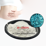 Women's Probiotics Powder Factory - Factory Supply Lactobacillus Acidophilus