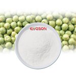 Pea Peptide Powder Factory - Gut Health Supplement Hydrolyzed