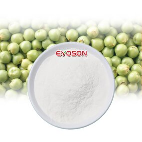 Pea Peptide Powder Factory - Gut Health Supplement Hydrolyzed