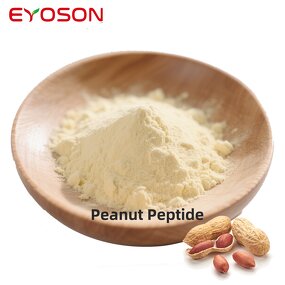 Peanut Peptide Powder Factory - Healthcare Additive Halal Vegan