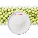 Pea Protein Peptides Manufacturer - Factory Supply Water Soluble