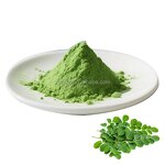 Moringa Powder Factory - Wholesale Organic Herbal Extract