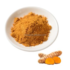 Turmeric Curcumin Factory - Wholesale Organic 5%-95% Extract