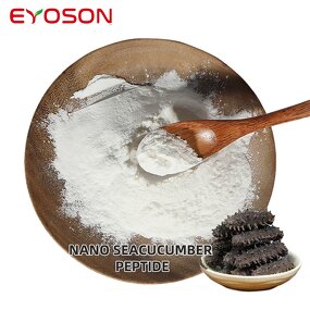 Sea Cucumber Extract Factory - Wholesale Food Grade Nano Peptide