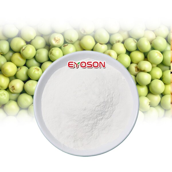 Vegan Protein Powder Factory - Sport Supplements Halal Certified