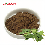 Eucommia Leaf Extract Manufacturer - Factory Supply Food Grade