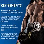 Whey Protein Powder Factory - Sports Nutrition Isolate Muscle