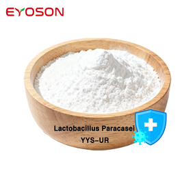 Freeze Dried Probiotics Factory - HACCP QS ISO Certified Halal