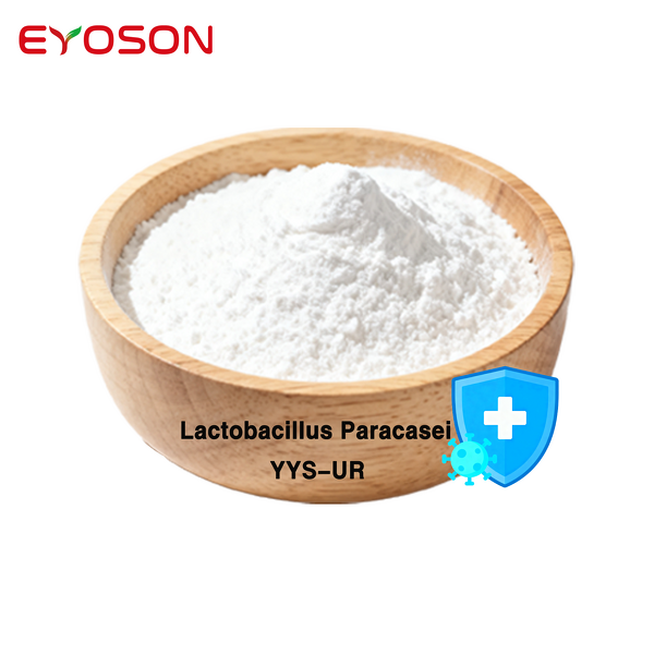 Freeze Dried Probiotics Factory - HACCP QS ISO Certified Halal