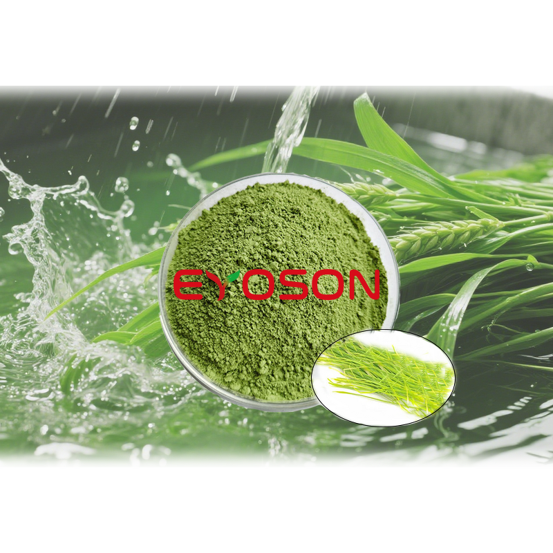 Barley Grass Powder Manufacturer - Factory Bulk Supply Sterilized