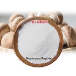 Mushroom Peptides Manufacturer - Wholesale Lentinus Edodes 95% Purity