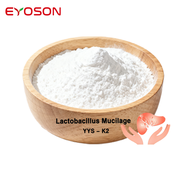 Liver Protection Powder Manufacturer - Halal Probiotics Natural