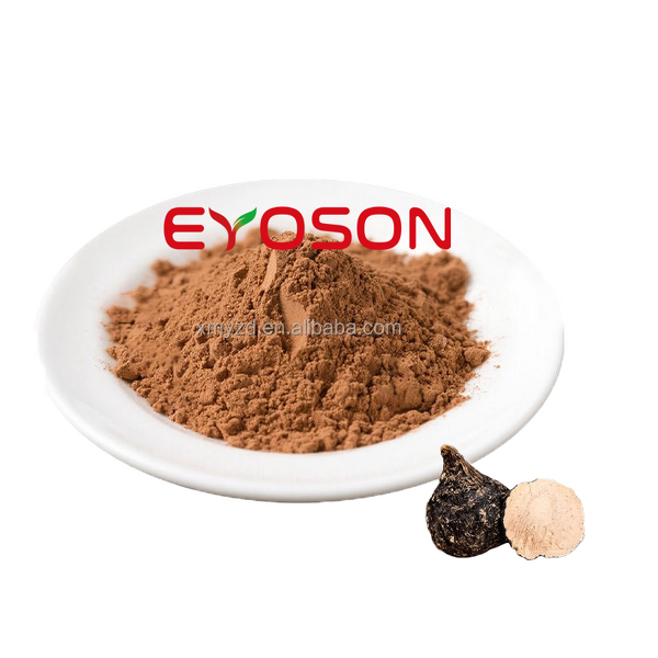 Black Maca Powder Manufacturer - Natural Root Extract Energy