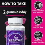 Creatine Monohydrate Gummies Manufacturer - Private Label Pre Workout