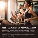 Ashwagandha Drops Liquid Factory - Private Label Vegan Stress Relief
