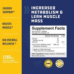 CLA Softgel Capsules Factory - Wholesale Slimming & Energy Support