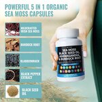 Sea Moss Capsules Factory - Hot Selling Overall Health Softgel