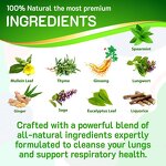 Mullein Leaf Tea Bag Factory - OEM Wholesale Organic Respiratory