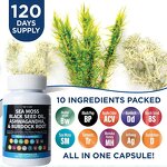 Sea Moss Capsules Manufacturer - Organic Black Seed Oil Extract