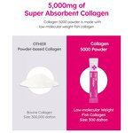 Collagen Powder Manufacturer - Low-Molecular Weight Berry Flavor