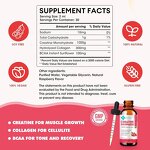 Liquid Creatine Drops Manufacturer - Sugar Free Raspberry Flavored