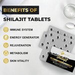 Shilajit Tablet Factory - OEM Private Label Immune Health