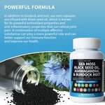 Sea Moss Capsules Factory - Hot Selling Overall Health Softgel