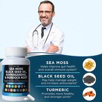 Sea Moss Capsules Factory - Premium Quality Immune Digestion