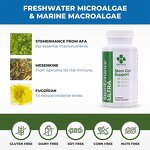 Stem Cell Hard Capsule Factory - Cellular Health Immune Support