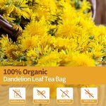 Dandelion Leaf Tea Bag Manufacturer - High Quality Clearing Heat Detox