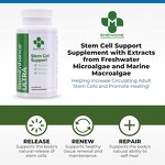Stem Cell Hard Capsule Factory - Cellular Health Immune Support
