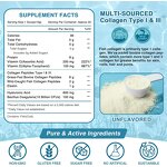 Collagen Protein Powder Factory - Top Quality Organic Peptide OEM