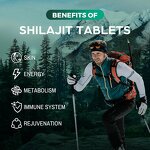 Shilajit Tablet Manufacturer - Customization Pure Fulvic Acid