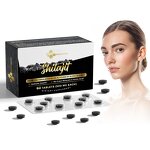 Shilajit Tablet Factory - OEM Private Label Immune Health