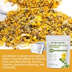 Dandelion Leaf Tea Bag Manufacturer - High Quality Clearing Heat Detox