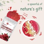 Cranberry Juice Powder Factory - Wild Cold Pressed Organic Vitamin C
