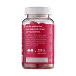 Apple Cider Vinegar Gummies Manufacturer - OEM/ODM Vegan ACV Supplement