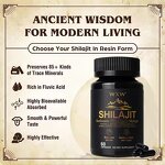 Shilajit Capsules Manufacturer - High Potency Contract Manufacturing
