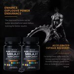 Shilajit Capsules Manufacturer - Private Label Male Vitality OEM